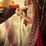 walima dresses photos