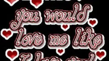Quotes About I Wish You Love Me